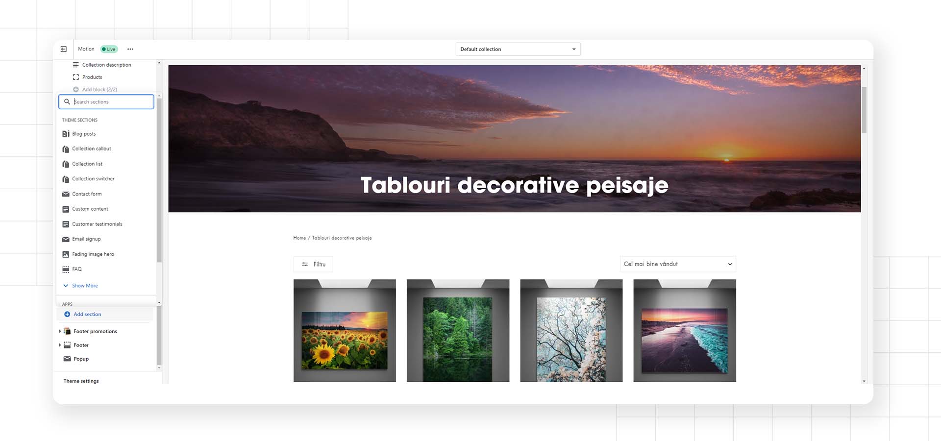 shopify Collection page add section