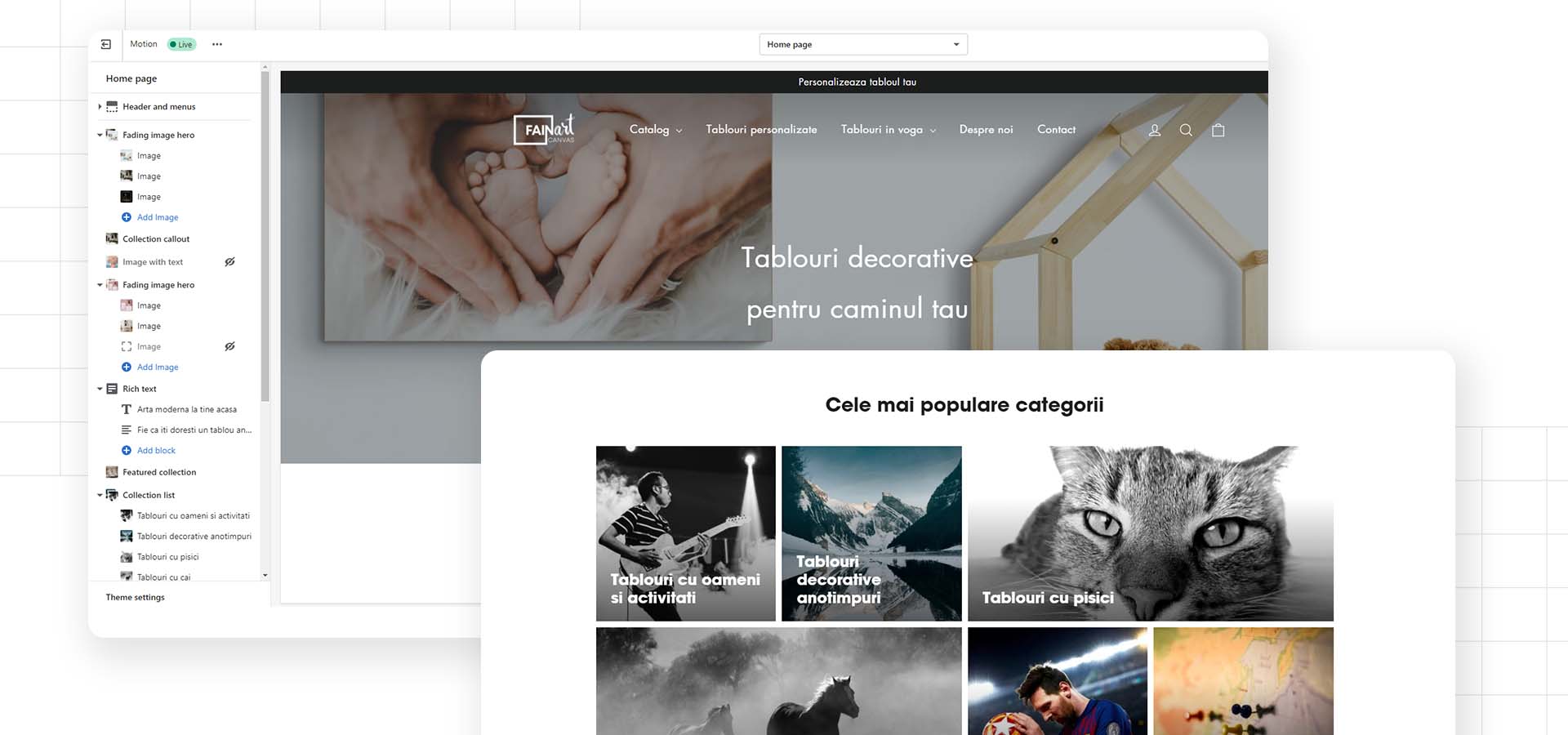 shopify Homepage example
