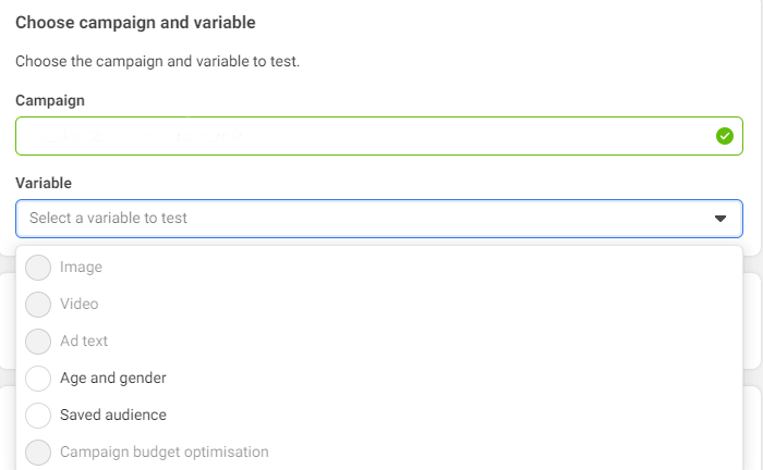 facebook-campaign-and-variable-1
